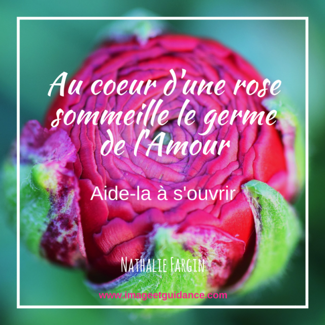 Développe ton Amour